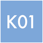 K01 icon