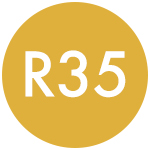 R35 icon